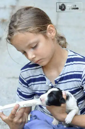 Finalisti nagradne igre: Ahmet Cari Cabric